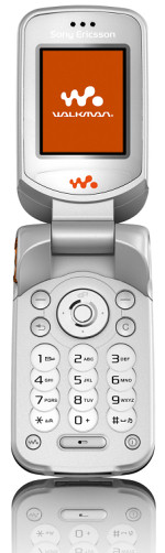 W300