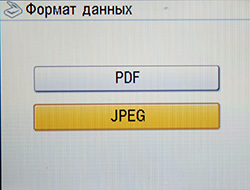 scan_5.jpg