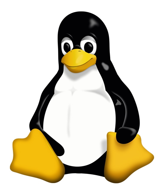 Формальный амулет Linux - пингвин Tux - был изобретен Ларри Юингом (Larry Ewing) в 1996 году