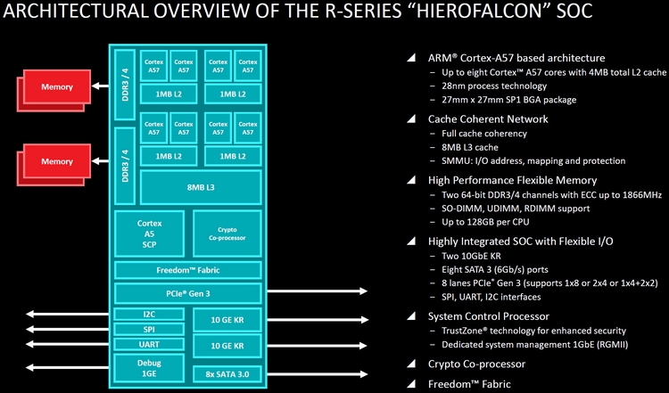 AMD Hierofalcon: один из видов ARM v8