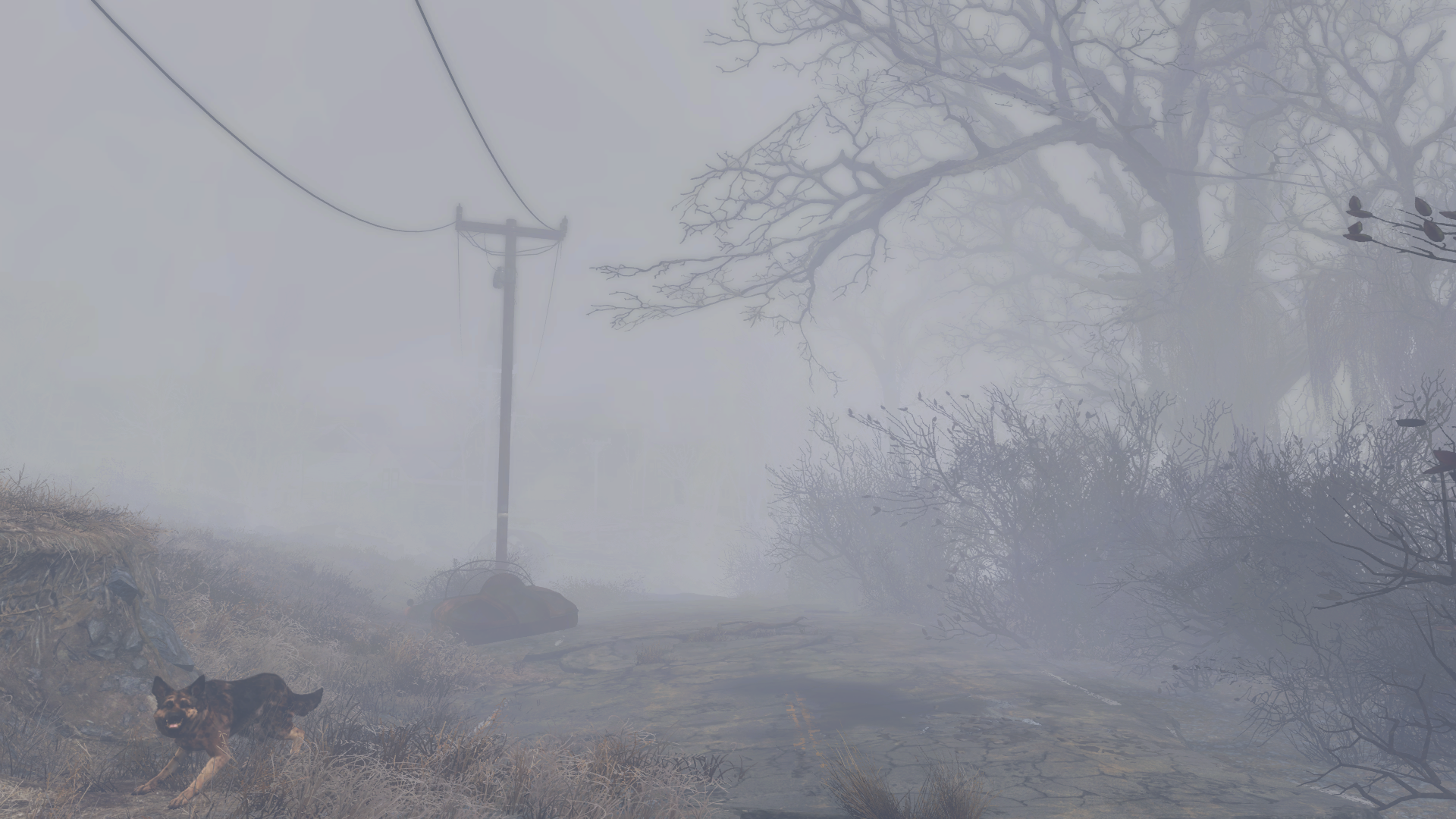 В воздухе стояла мгла из белесоватого. Сайлент Хилл туманный. Сайлент Хилл монстры в тумане. Сайлент Хилл туманный город.