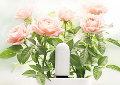 Умные устройства Xiaomi. Часть 2: очиститель воздуха Mi Air Purifier 2, удлинитель Smart Power Strip и датчик Flower Care для растений
