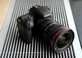 Обзор зеркальной фотокамеры Canon EOS 77D: недостающее звено