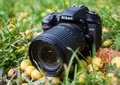 Обзор зеркальной фотокамеры Nikon D7500: шаг вперед или компромисс