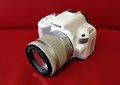 Обзор зеркальной фотокамеры Canon EOS 200D: природный враг беззеркалок