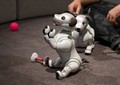 IFA 2018: самый милый робот, телевизор для гурманов и другие новинки Sony