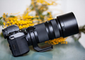 Обзор беззеркальной фотокамеры Panasonic Lumix S1R: вторжение чужого
