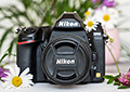 Обзор фотокамеры Nikon D780: зеркалка и беззеркалка в одном флаконе