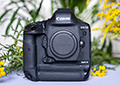 Обзор камеры Canon EOS-1D X Mark III: прирученный монстр