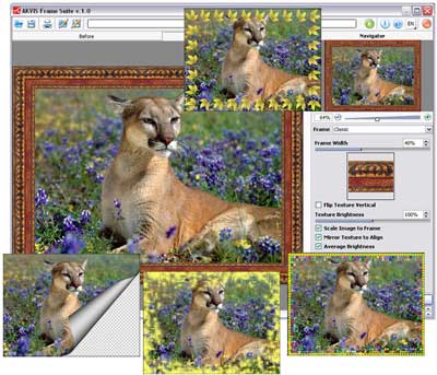 AKVISFrameSuite
