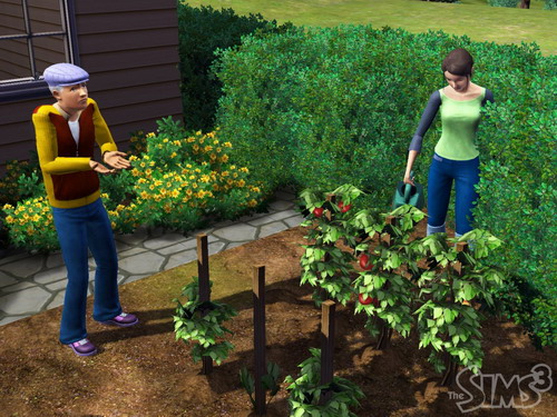 The Sims 3 The Sims 3