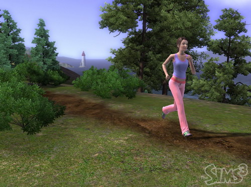 The Sims 3 The Sims 3