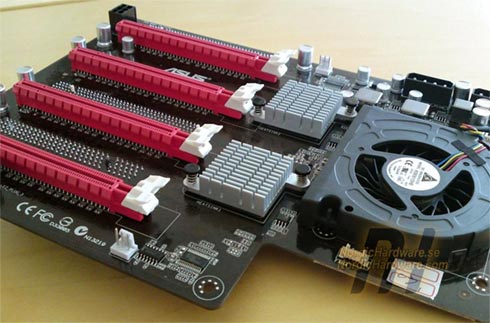 ROG Xpander