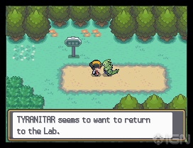 Pokemon HeartGold / SoulSilver Pokemon HeartGold / SoulSilver