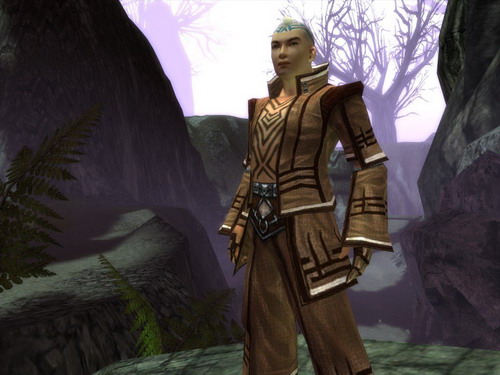 Guild Wars: Factions Guild Wars: Factions