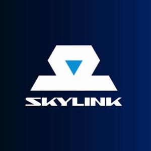 Скай Линк Скай Линк