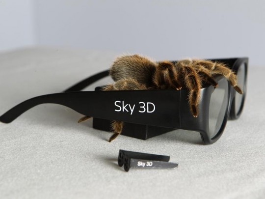 3dtv arachnophobia