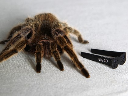3dtv arachnophobia