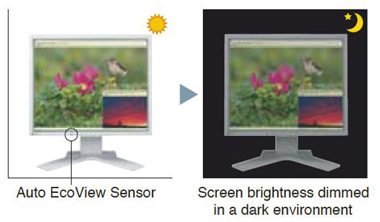 Eizo FlexScan S1902 Eizo FlexScan S1902