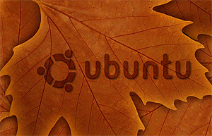 Ubuntu 11.04