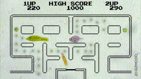 Pac-Man Pac-Man