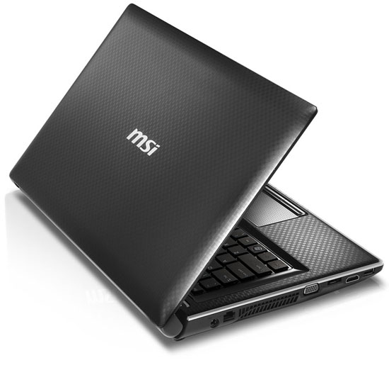 MSI FX420 MSI FX420