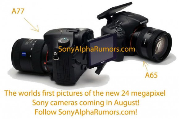 Sony Allpha A77 и A65