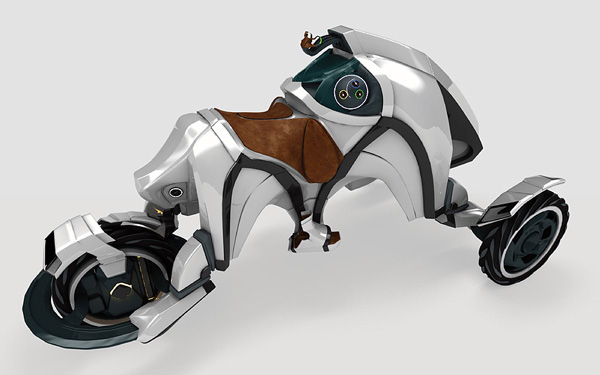 Saddle Saddle
