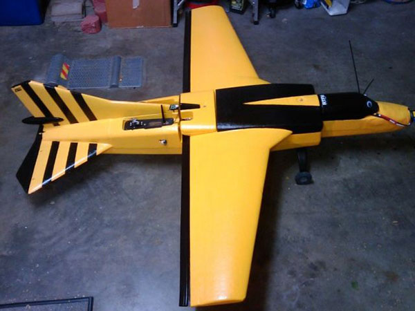 WASP WASP