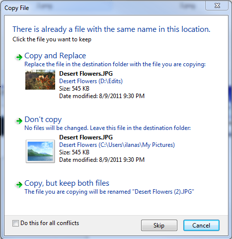 Диалоговое окно при конфликте имён файлов в Windows 7