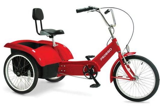 Beachcombing Electric Tricycle Beachcombing Electric Tricycle