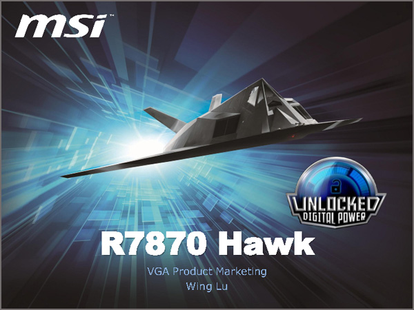  MSI R7870 Hawk 