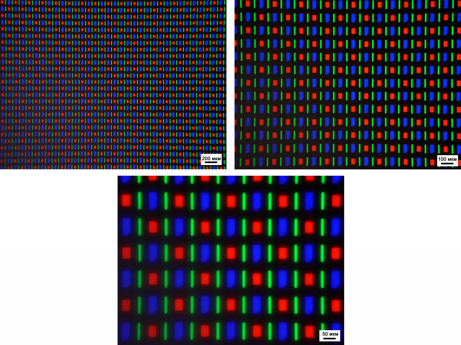 Пиксели на экране монитора. IPS матрица под микроскопом. Матрица QLED под микроскопом. LCD матрица под микроскопом. Дисплей под микроскопом.