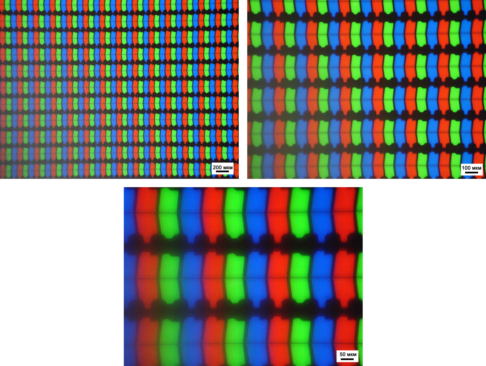 Микровзгляд: сравнение дисплеев современных смартфонов под микроскопом /  Offсянка