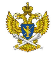 Роскомнадзор впервые дал сведения операторам для блокировки сайта с пиратским контентом