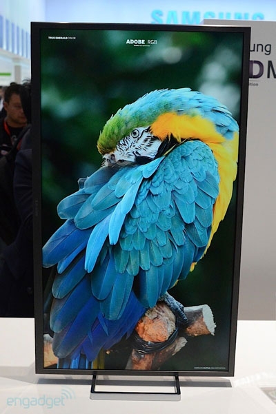 IFA 2013: Samsung продемонстрировала 31,5” монитор с разрешением 4K UHD