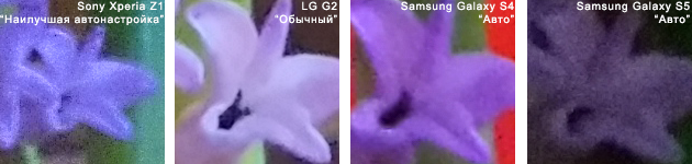  Sony Xperia Z1 vs. LG G2 vs. SGS4 vs. SGS5 camera comparison: test picture 6, 100% crop 