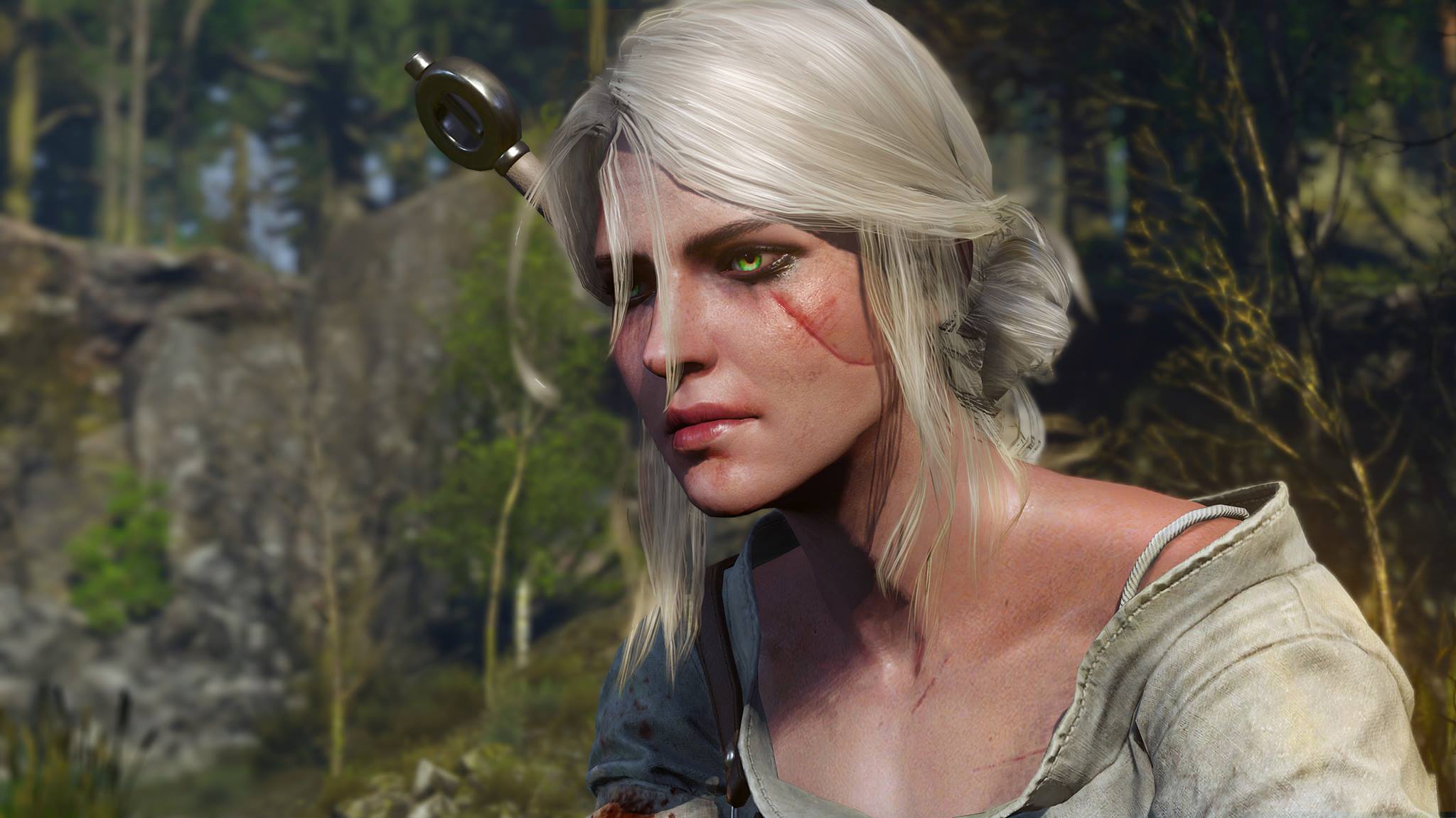 The witcher 3 the hunter фото 33