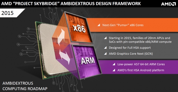  AMD Skybridge 