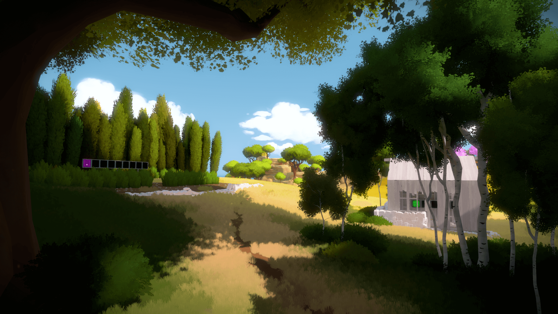 Картинки из игры the witness