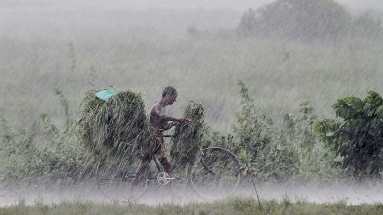 Сезон дождей в Индии
