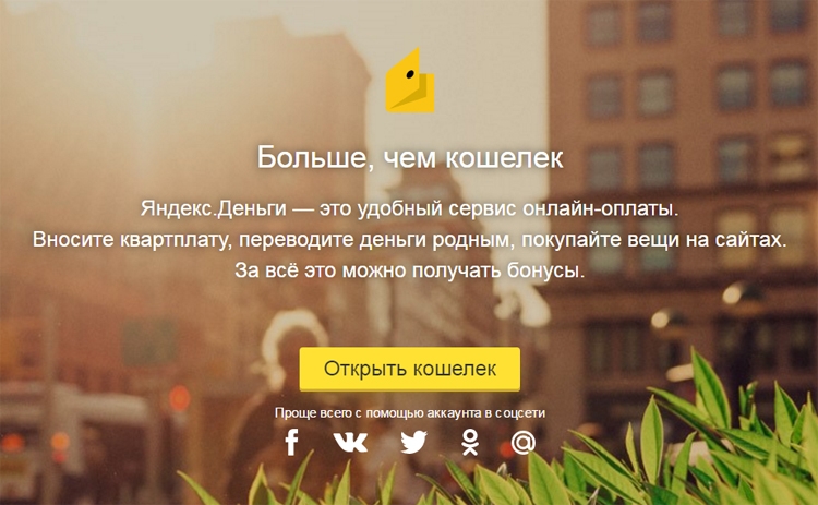 Яндекс Онлайн Растение По Фото
