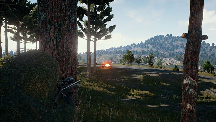 Bluehole за три месяца продала 4 млн копий PlayerUnknown’s Battlegrounds