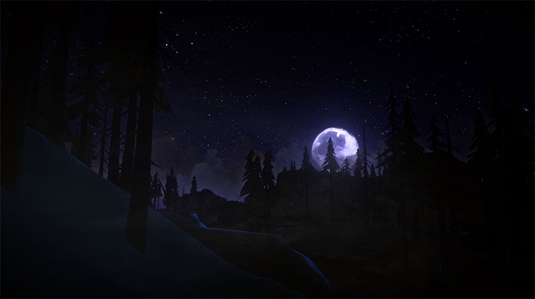 The Long Dark: релиз финальной версии на PC и консолях и анонс экранизации