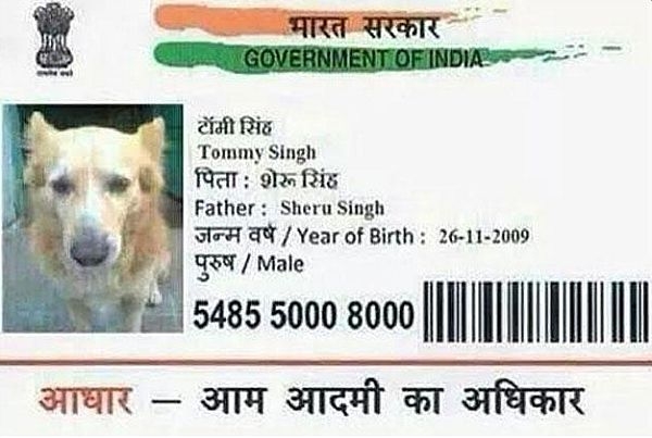 2-aadhaar-dogcard.jpg