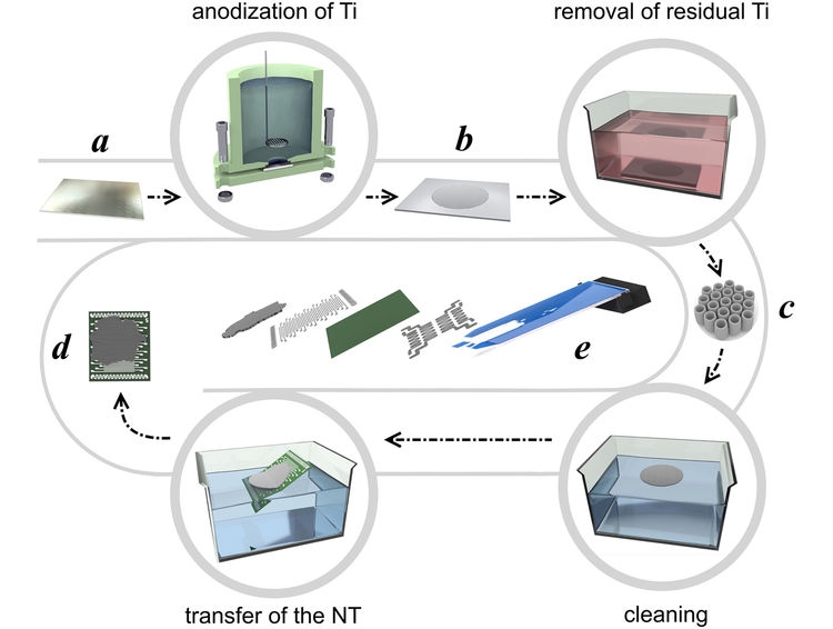 Cхема изготовления мультисенсорного чипа на основе массива нанотрубок диоксида титана: (a-e) обозначают соответственно титановую фольгу (а), титановую фольгу с выращенным массивом нанотрубок диоксида титана (b), выделенный массив нанотрубок (с), массив нанотрубок, помещенный на чип (d), схема мультисенсорного чипа, разваренного в 50-ти пиновый керамический корпус (е) / Сколтех
