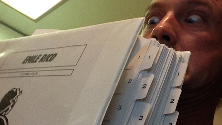 Fallout 3 Совместимость С Windows 10