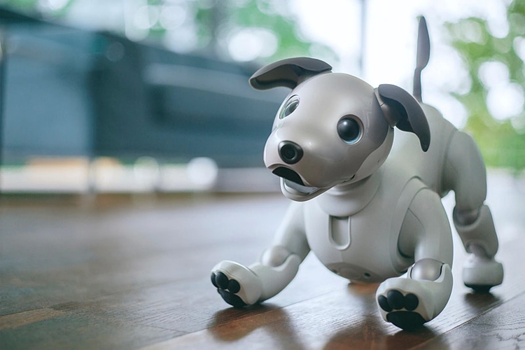 Робособака Sony aibo нового поколения стала более естественной и умной"