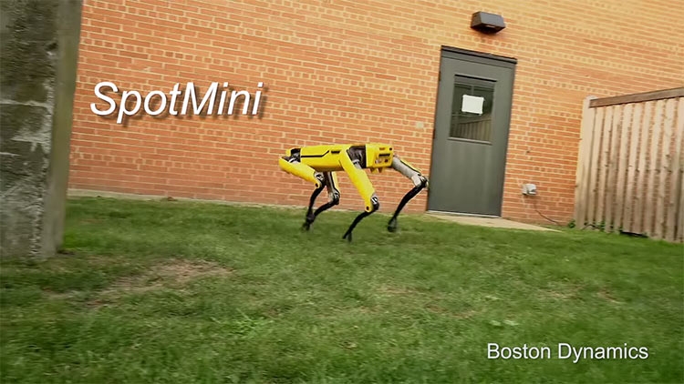 Видео: новейший робот Boston Dynamics выглядит менее пугающе"