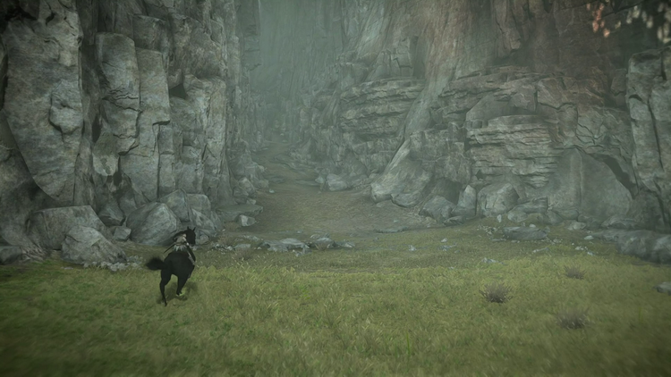 Digital Foundry: Shadow of the Colossus для PS4 — «один из лучших ремейков всех времён»"